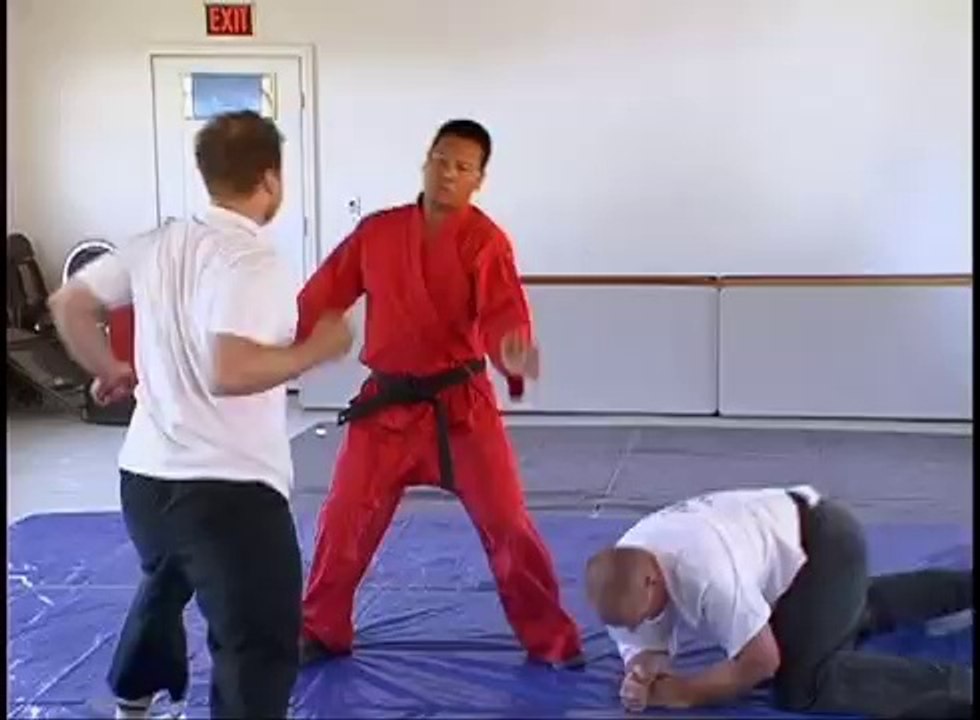 How To Do Martial Arts - Throws 10