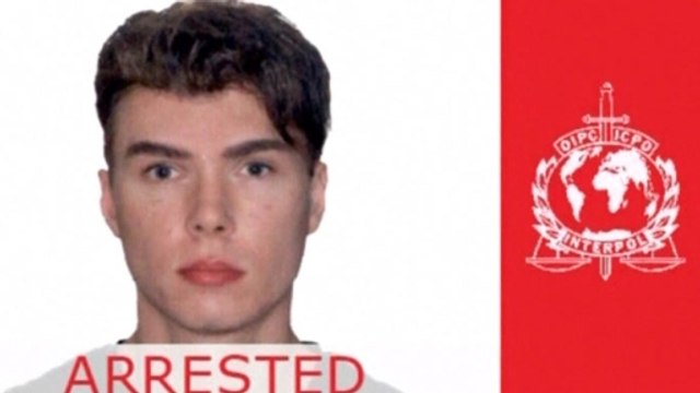 Magnotta admits to killing, pleads not guilty