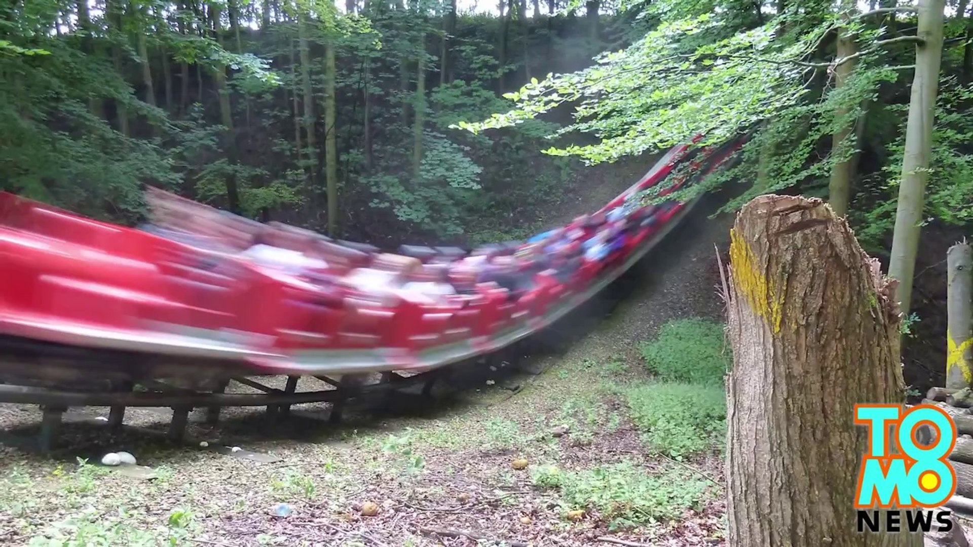 Shocking rollercoaster accident - Deer decapitated by Lightwater Valley  theme park ride. - video Dailymotion