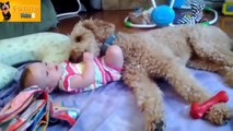 Epic Funny 2014 Cute Babies Compilation - 720p - HD - Baby videos 2014