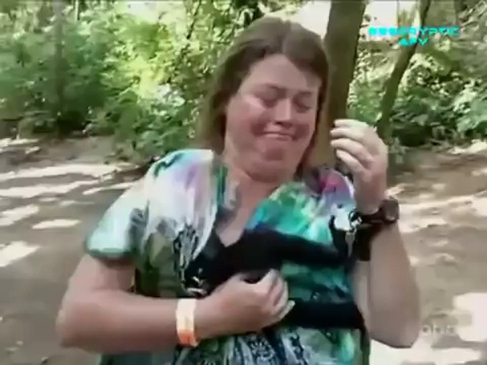 Funny Animal Clips - America's Funniest Home Videos 2014