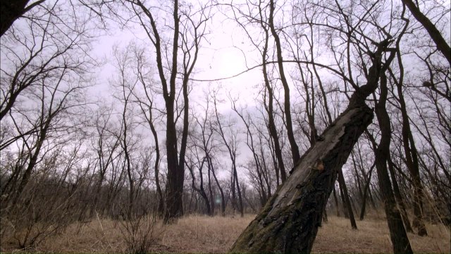 【mv.6park.com】少女灵异日记.HD1280超清国语中字_2