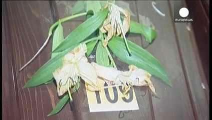 3 de cada 4 inmigrantes clandestinos muertos en 2014 fallecieron en el Mediterráneo