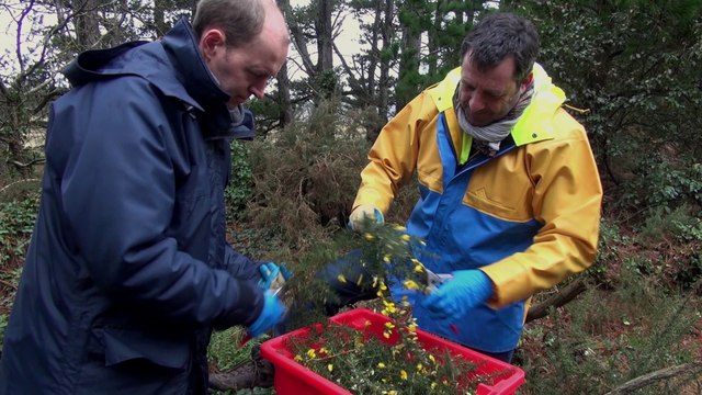 La surveillance radiologique de la base navale de Brest
