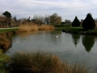 Le pre sous la  vidville 037 vide