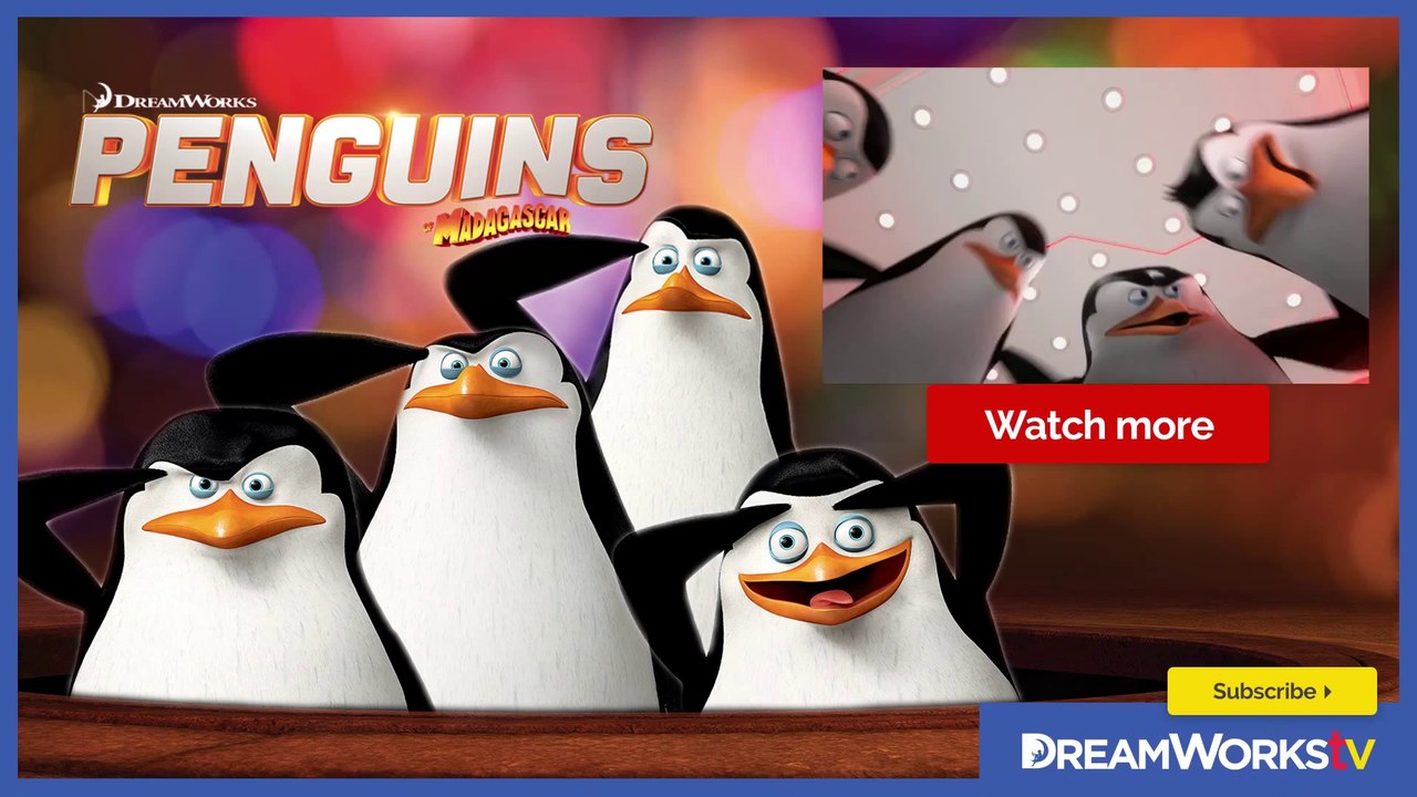 Madagascar Animals: Gossip About The Penguins - Penguins of Madagascar