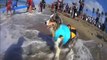 Dunya News - Dogs at annual surfing competition California beach