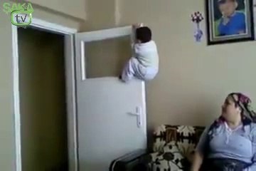 Örümcek Velet Tavana Tırmandı