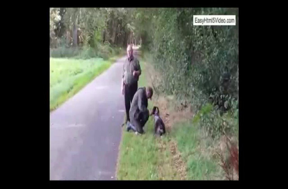 IDA de la riviere du nant -recherche sur gibier