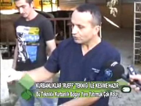 KURBANLIĞI YERE YATIRMA TEKNİĞİ RUEFF