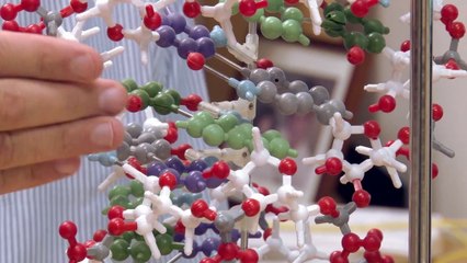 Know How Did Life On Earth Begins?