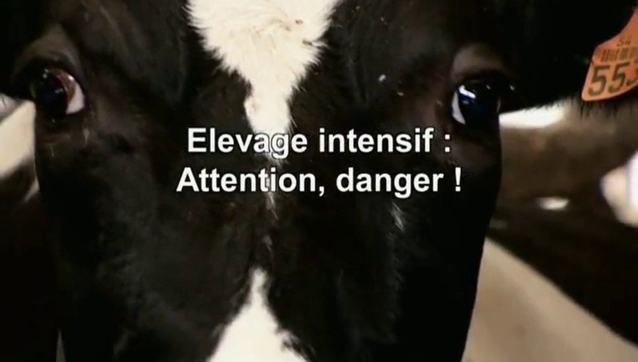 Elevage Intensif Attention Danger !