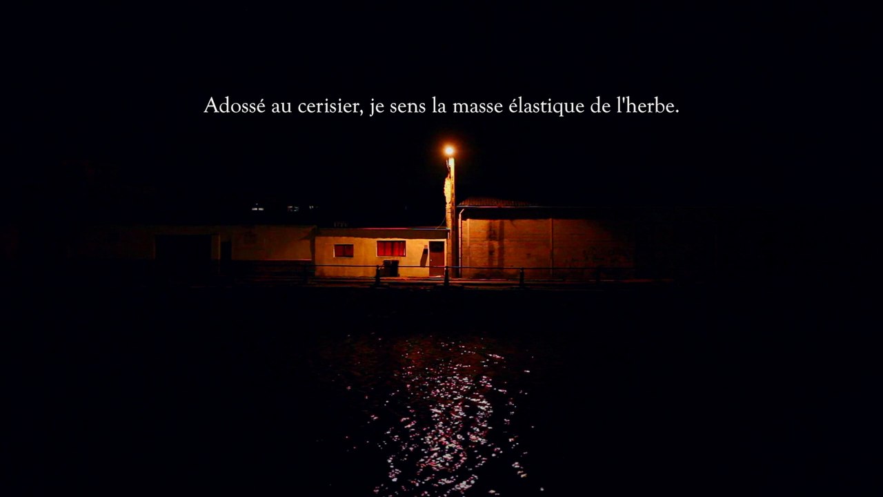 Adossé au cerisier / LES PARTICULES ÉLÉMENTAIRES / Michel Houellebecq - Julien Gosselin / Odéon-Berthier