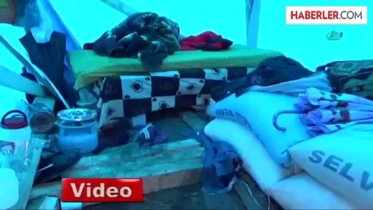 Çadırda Dehşet!