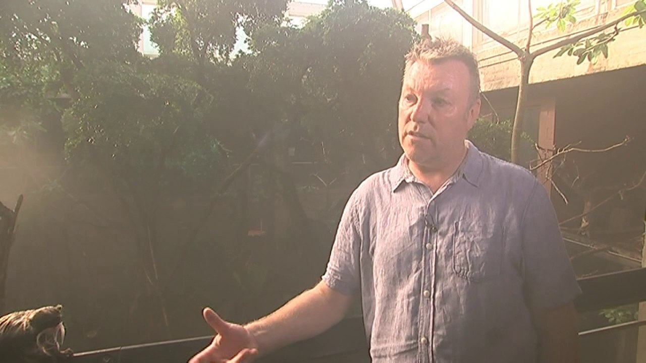 Expert concerned at loss of wildlife species