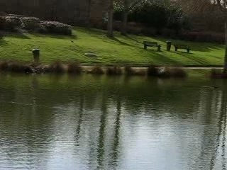 Le pre sous la ville 038 vide