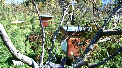 VOTV La fête de la gastronomie de Roissy