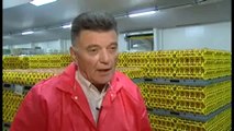 France 3 19/20 La grogne des producteurs d'oeufs