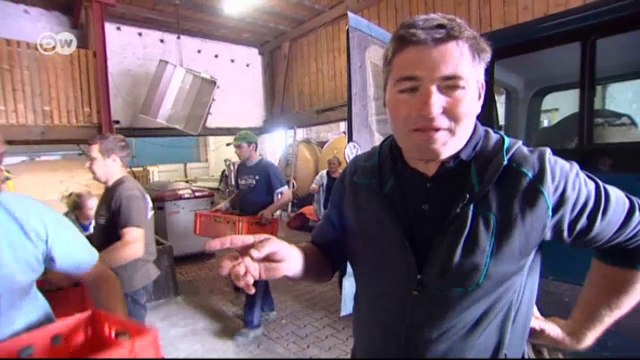 Alemania- Tierra de vinos (01): La vid más preciada | Euromaxx