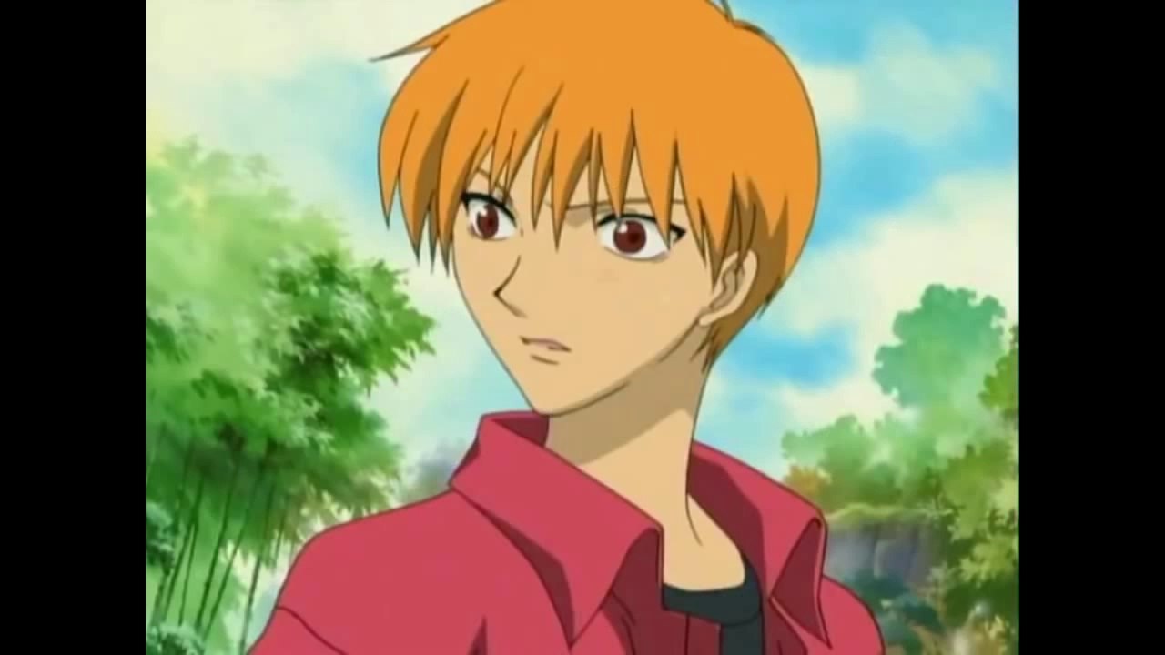 Fruits Basket  Album Photo Integral