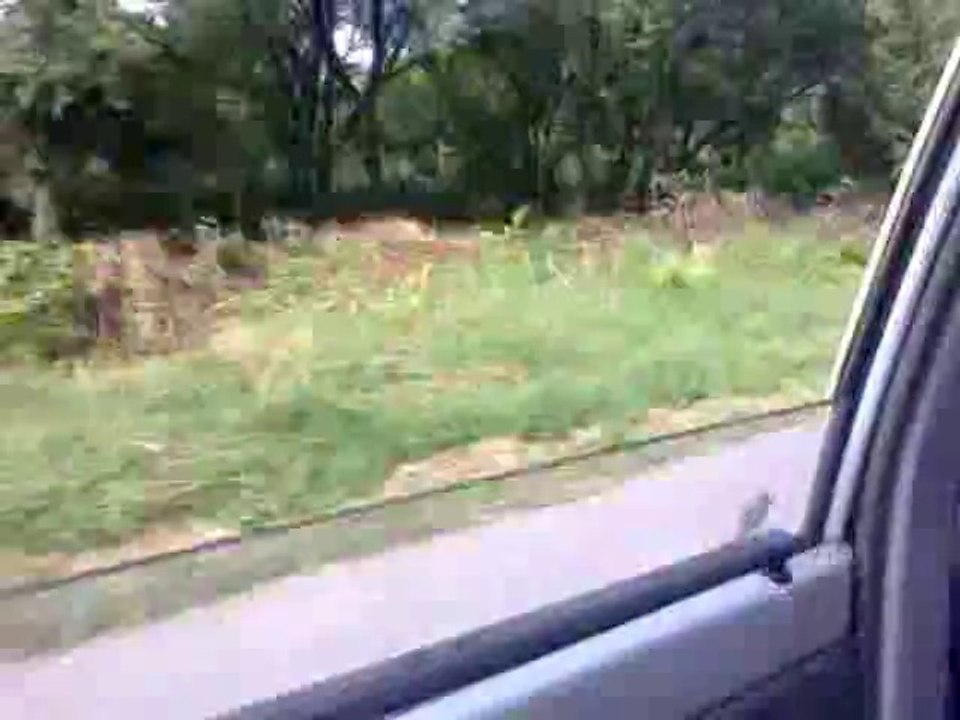 Drive in Islamabad from G-10/4 to F-11