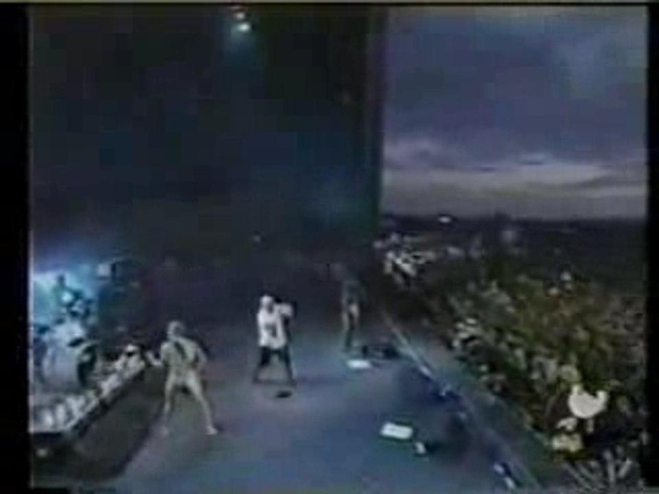 RHCP - Around the world (live)