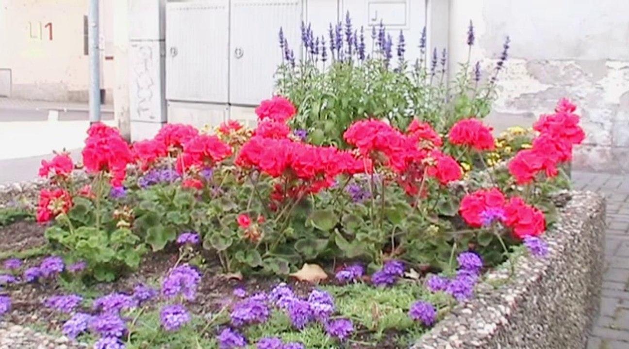 Auf großer Tour durch Diez