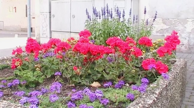 Auf großer Tour durch Diez