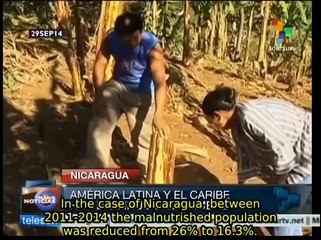 UN praises Nicaraguan policy on food security