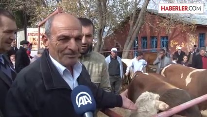 Kurban Pazarının Gözdeleri, Alıcılarını Bekliyor