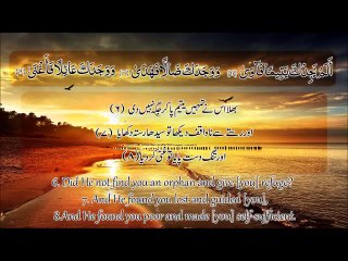 Jamaat-e-Islami Pakistan [Official]