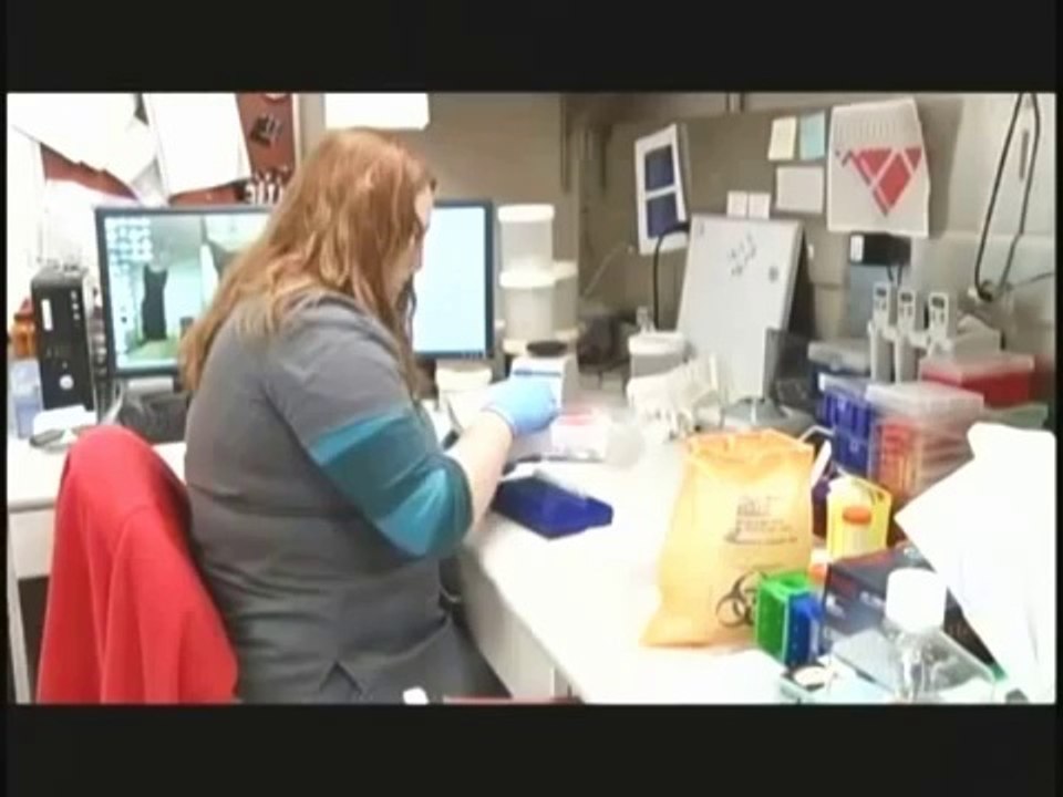 Ayesha K. Faines Reporter Anchor Résumé Reel