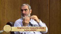 121) Hangi hayvanlar, hangi şartlar altında kurban edilebilir?  - Nureddin YILDIZ - Sosyal Doku Vakfı