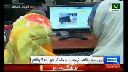 Online Qurbani Animal Shopping with Home Delivery in Karachi - A Good way to Avoid Bhatta & Robbery