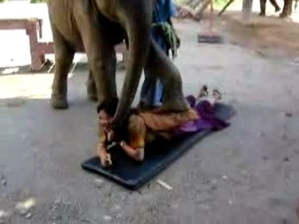 Elephant Massage