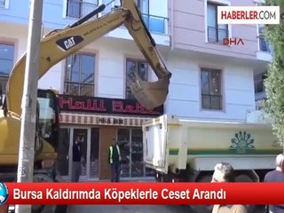 Kaldırımı Kazan Polis Köpeklerle Ceset Aradı
