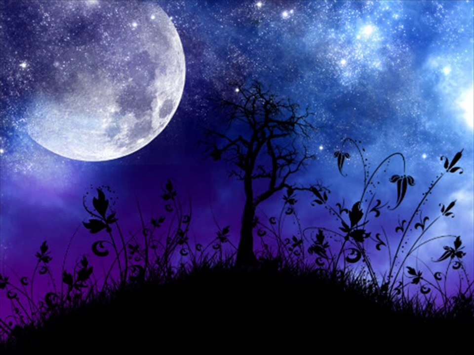 My Moonlight Madonna-Ed Loyd Band