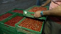 Hérault: les maraîchers frappés de plein fouet par les inondations