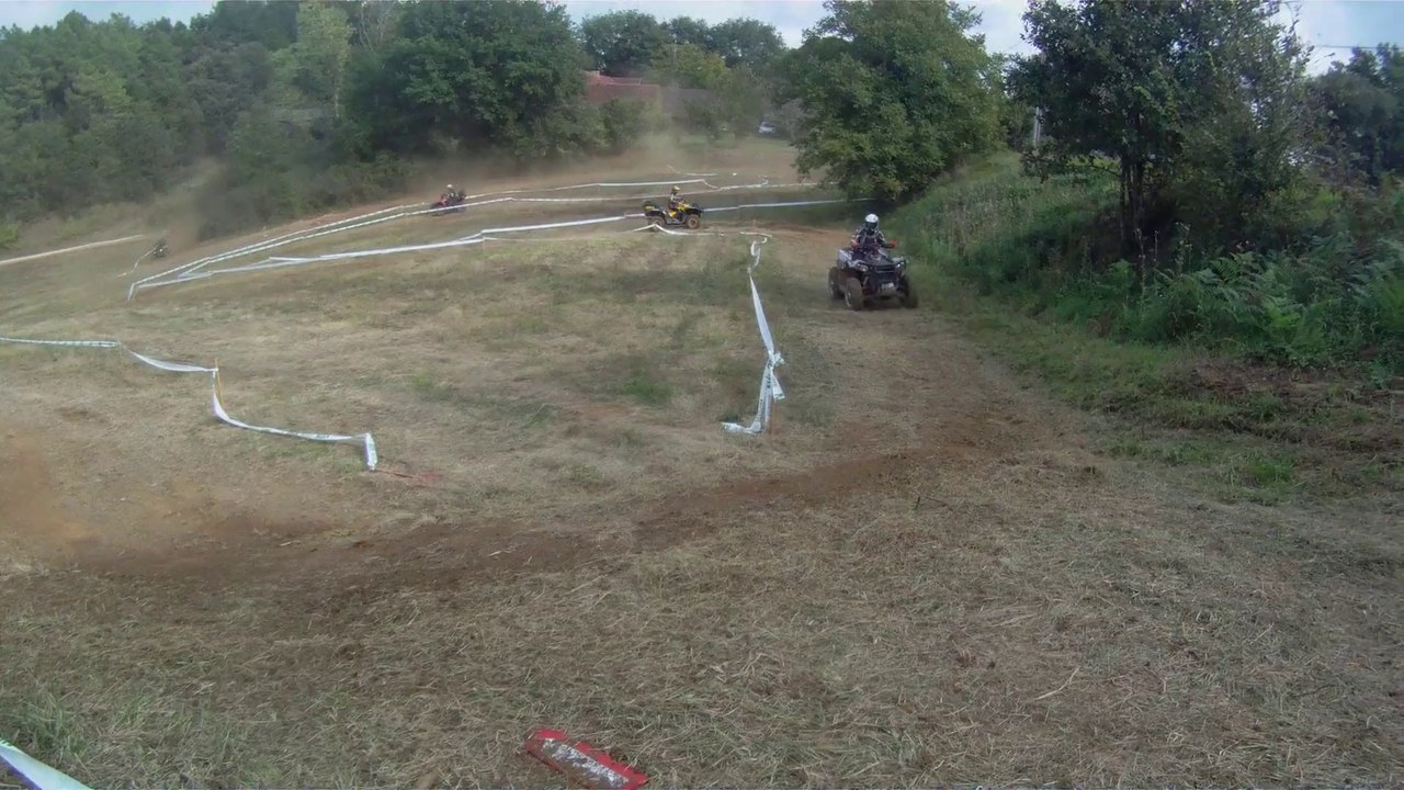 quadrigord 2014