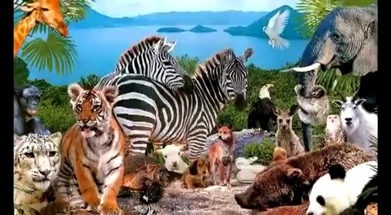 Смотреть всем!!! Мурашки по коже!