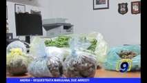 ANDRIA | Sequestrata marijuana, due arresti