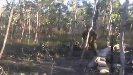 Quand des soldats s'amusent à plaquer des arbres