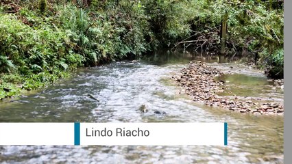 Sítio à Venda em Urubici – SC HD  Venda sitio em Urubici SC HD