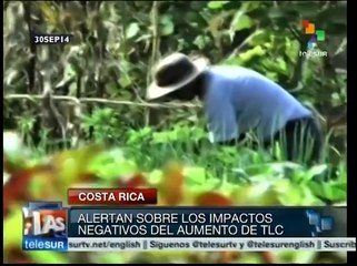 Productores costarricenses rechazan ingreso en la Alianza del Pacífico