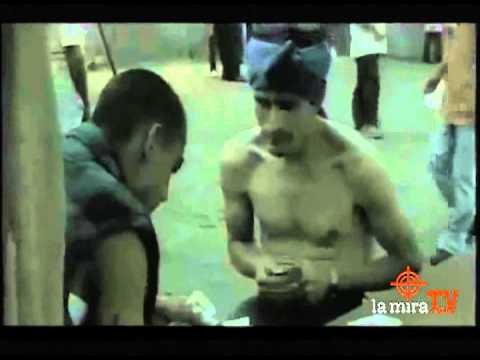 Festival de Cine Latino en Nueva York