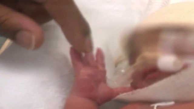 İNSANIN YARATILIŞ MUCİZESİ