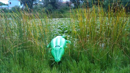 Aftermovie kamp Kroatië KSAM