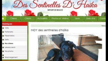 indy une rose parmis les roses