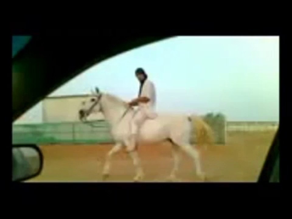 Riding Horses(Arabian Riding)gallop videos