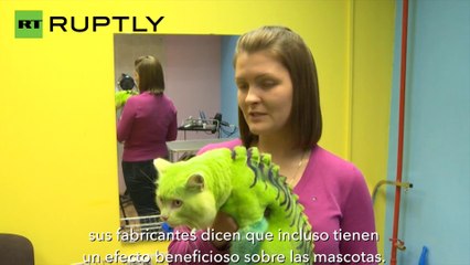 A este gato-dragón sólo le falta echar fuego por la boca